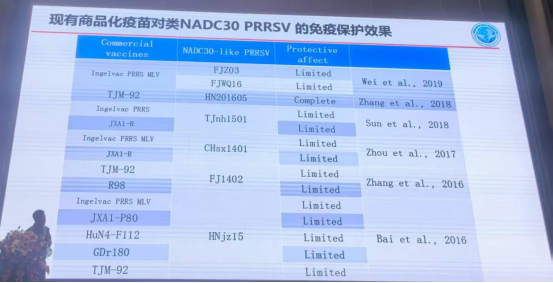 1767151868594010.png image.png