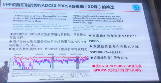 1767152032800735.png image.png