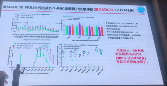 1767152143138278.png image.png