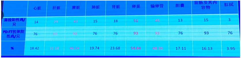 1767581274133734.png fe37e10700ab5ce69485f1ffffdcd4d6.png